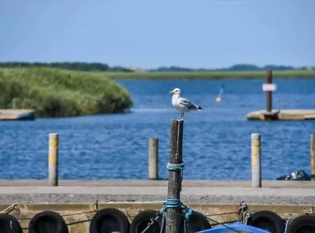 C11083-hemmet-bork-hytteby-43 * Hemmet